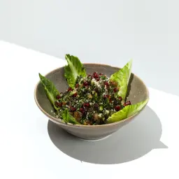 تبولة ارتيك